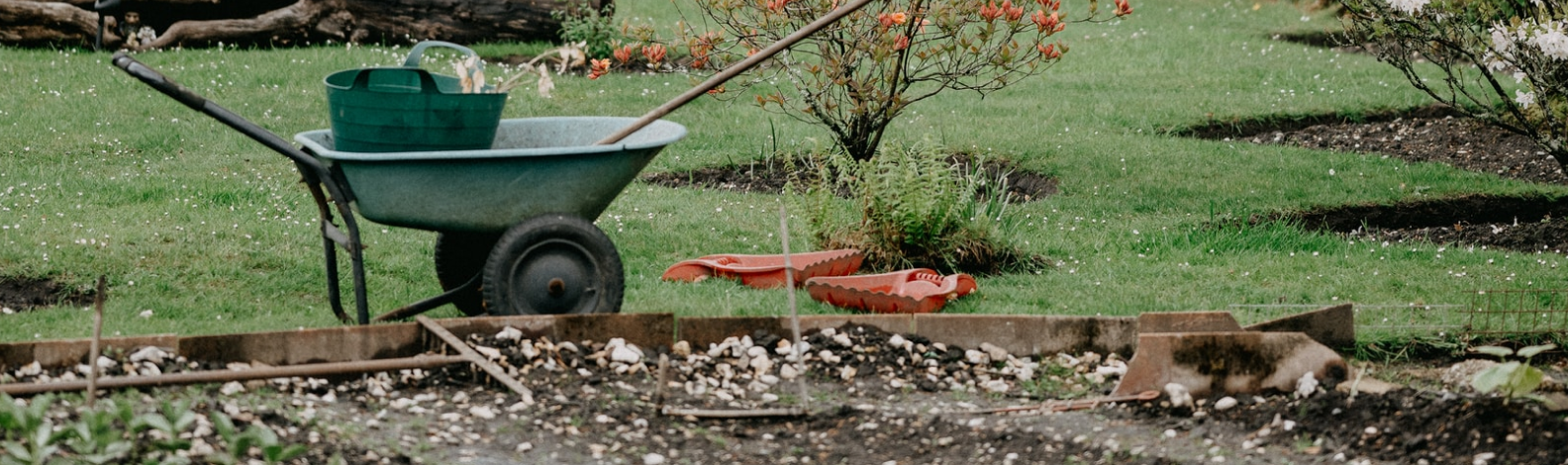 Wheelbarrow with gardening supplies in garden patch